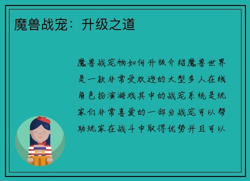 魔兽战宠：升级之道